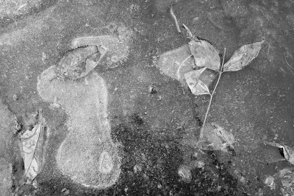 DSC00779bw-copy